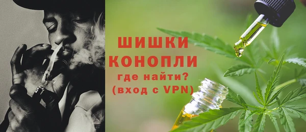 мдпв Краснослободск