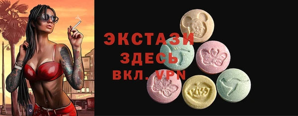 мдпв Краснослободск