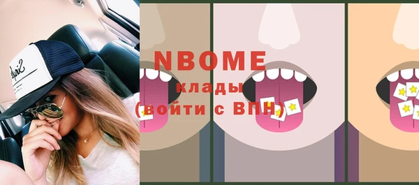 мдпв Краснослободск