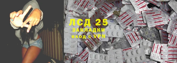 гидра Кукмор