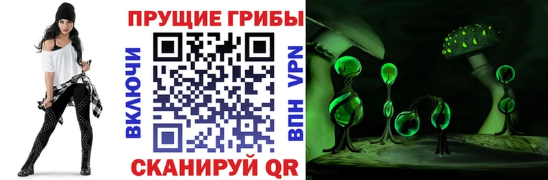Галлюциногенные грибы Psilocybine cubensis  магазин продажи   Малгобек 